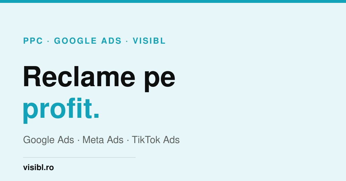 Google Ads Performance Max pentru eCommerce, Visibl